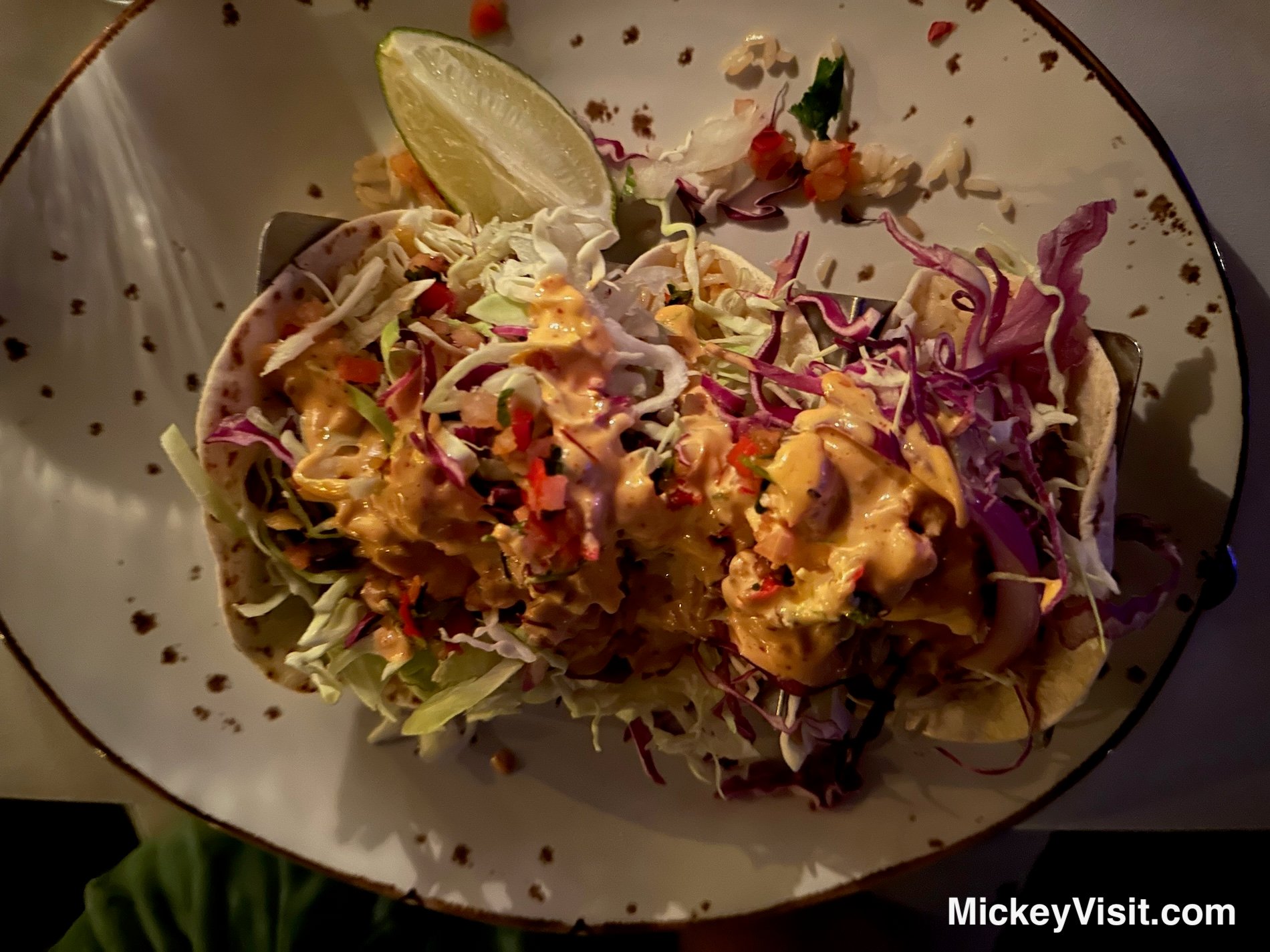 Baja tacos in EPCOT
