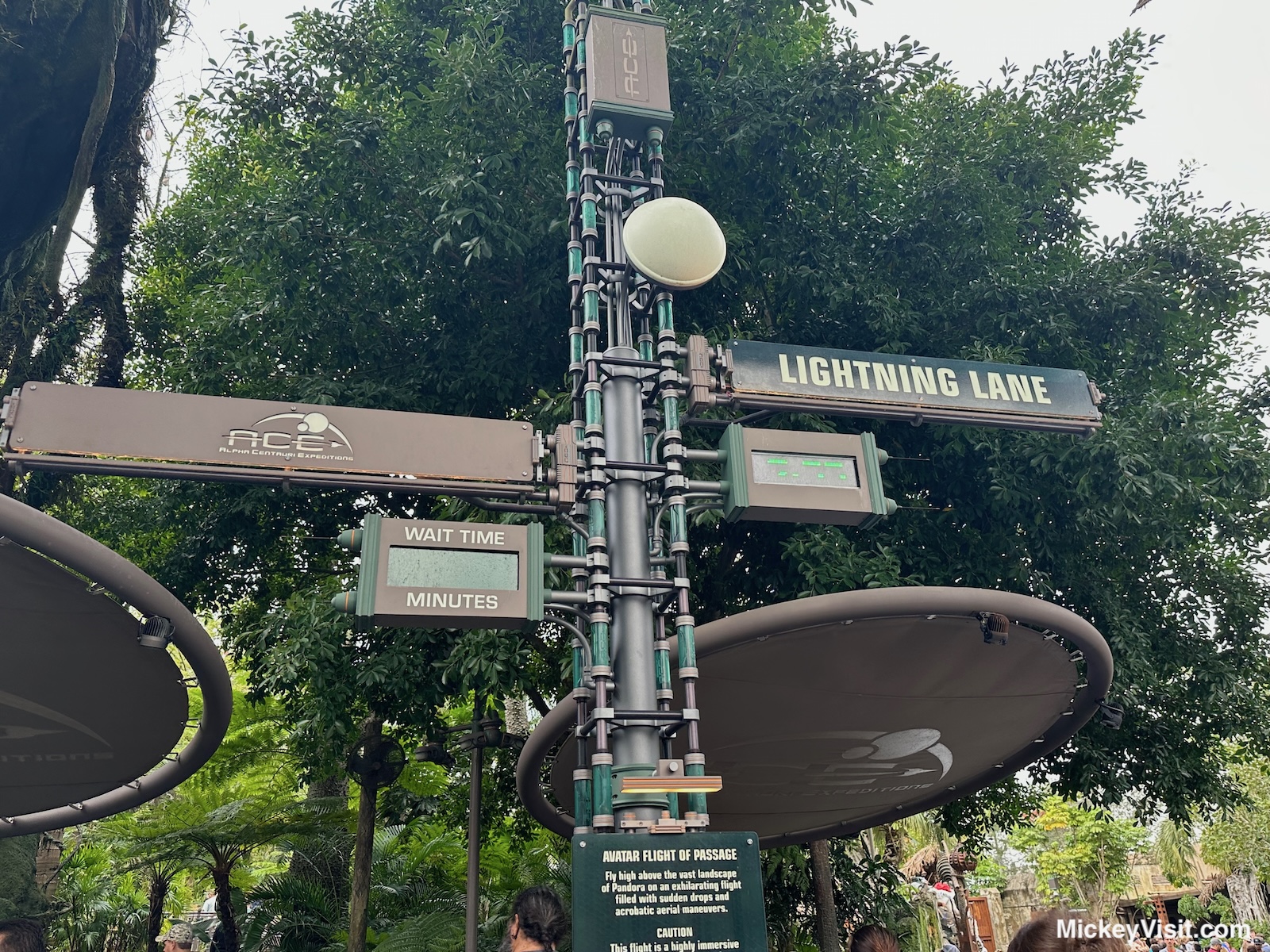 Disney World Individual Lightning Lane