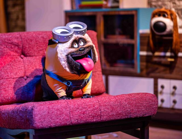 Secret Life of Pets
