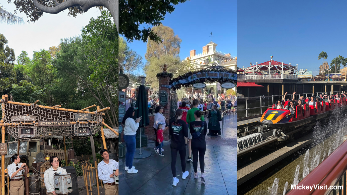 Disneyland Lightning Lane Multi Pass rides and entrances