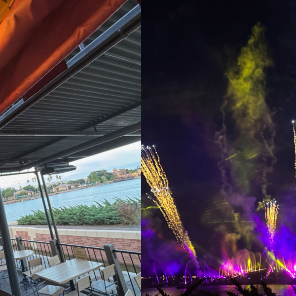 EPCOT firework view